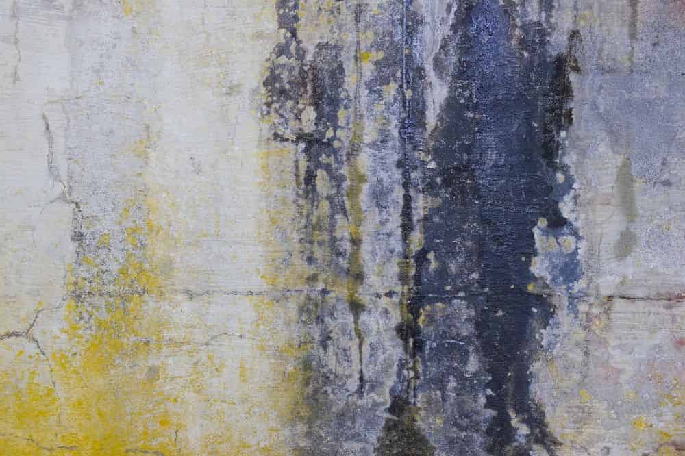 Stain, Oil, and Graffiti Removal Services image