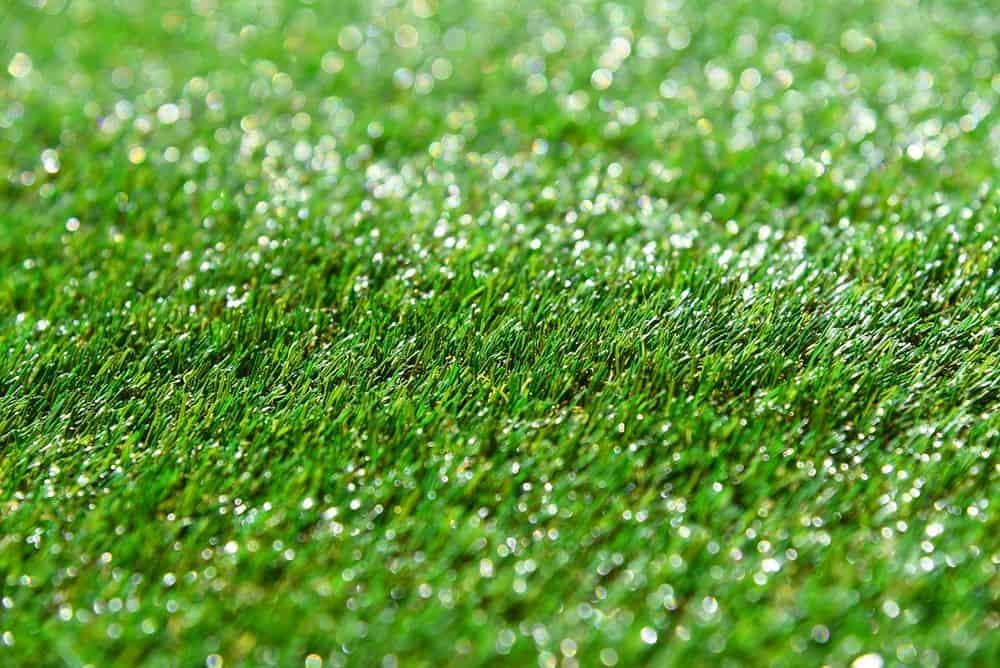Turf Cleaning Services image
